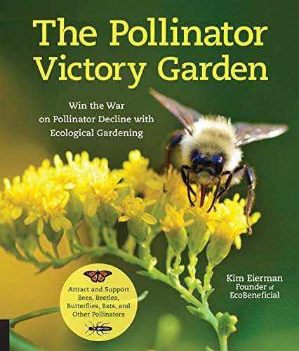 A Guide to Native Bees of Australia: Houston, Terry: 9781486304066